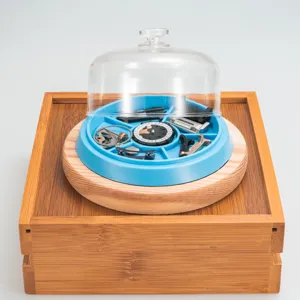 Dettaglio cupola antipolvere per movimenti di orologi, contenitore trasparente riparazione.