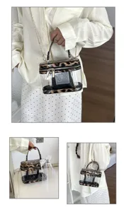 Bolso cruzado transparente con estampado de leopardo para mujer, bolso caja de verano con cadena.