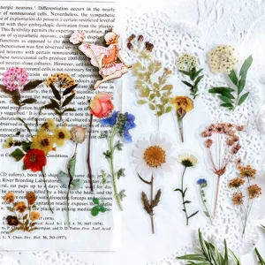 PET sticker pack floral plant vintage botanical decorative journaling craft supplies