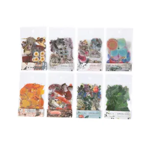 M&G PET decorative stickers pack vintage floral plant scrapbooking diary stationery supply