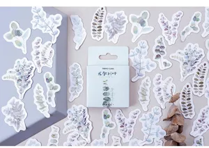 Momo boxed eucalyptus plant stickers set, creative DIY aesthetic journal decorative stationery.
