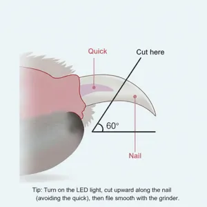 Pet nail clipper instruction guide showing correct cutting angle and quick position for safety.