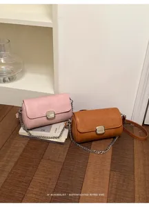 Vista dettagliata delle borse a tracolla minimaliste di tendenza in rosa e marrone con catena.