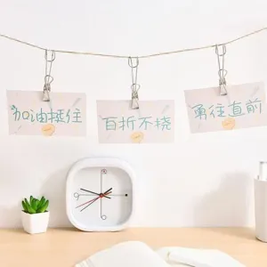 Stainless steel hook clips spring clothespins multi-purpose utility clips for home storage.