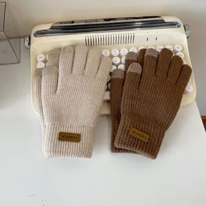 Korean style knitted warm touch screen gloves for women, autumn and winter thick wool gloves.