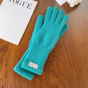Women winter warm knitted gloves teal green fleece lined touchscreen gloves elegant winter daily wear