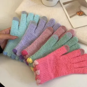 Macaron color plush knitted touchscreen gloves for women, warm winter thermal gloves.