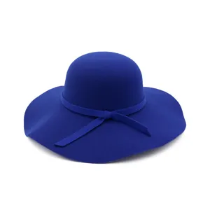 Dames wolvilt hoed brede rand herfst winter stijlvolle bolhoed fedora blauw elegant accessoire