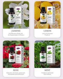 Aromatherapy essential oil set 30ml plant extract water-soluble diffuser oil set