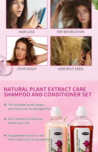 Natural plant extract onion rosemary shampoo and conditioner set for hair repair care.