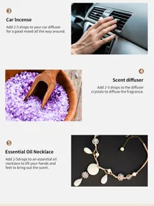 Aromatherapy essential oil set usage guide detail image showing car diffuser and necklace use.