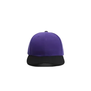 Detail view of the purple and black six-panel baseball cap, showing texture and brim.