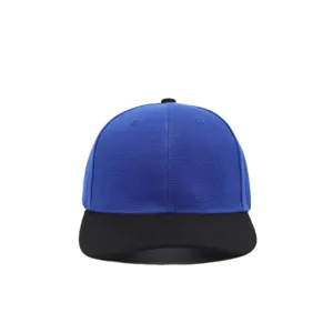 Close-up view of the classic six-panel baseball cap, featuring blue crown and black brim details.
