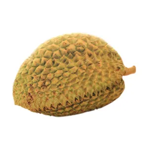 Primo piano della texture realistica del cuscino di peluche durian, dettaglio frutto.