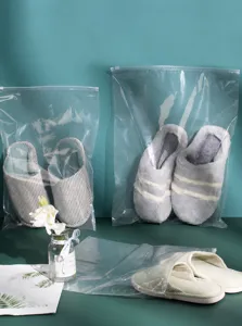 Transparent zipper shoe storage bag detailed view, dustproof and moistureproof design.