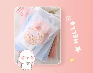 Frosted zipper storage bag detail view, translucent design for clothing and socks classification.