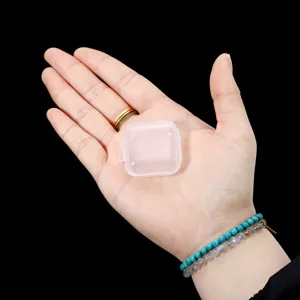 Nahaufnahme einer kleinen transparenten Plastik-Aufbewahrungsbox, tragbares Etui für Ohrstöpsel.