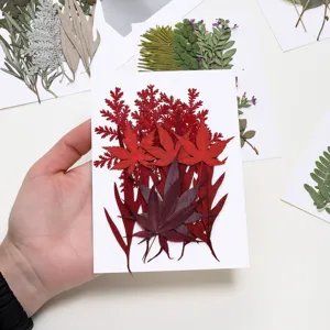 Natürliche gepresste getrocknete Blätter botanische Pflanzenmuster für DIY Handyhülle basteln