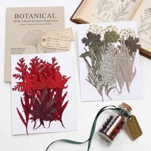 Natürliche gepresste Blumen Blätter Details für DIY Lesezeichen und Epoxidharz Handyhüllen.