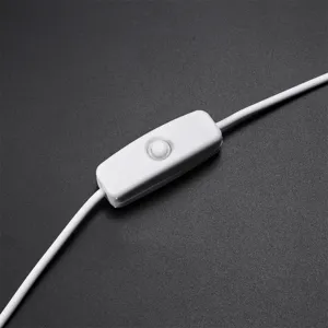 Vue détaillée de l'interrupteur à fil blanc et du cordon d'alimentation pour lampes LED.