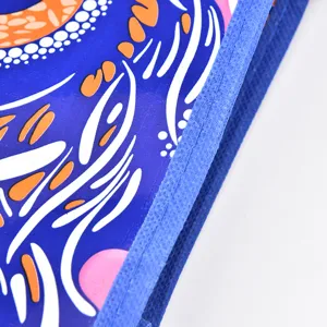 Detalle de bolsa de almacenamiento tejida impermeable duradera, bolso grande para mudanzas.