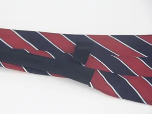 Dettaglio cravatta a zip in poliestere a righe, ideale per uniformi scolastiche e abbigliamento.