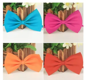 Nœuds papillon en polyester uni coloré en détail, parfaits pour tous vos événements.