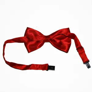 Nœud papillon rouge en satin pour hommes, tour de cou formel élégant avec sangle réglable.
