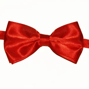 Nœud papillon rouge en satin pour homme, cravate papillon brillante en polyester pour mariage.
