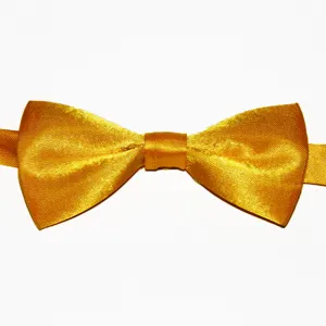 Vista dettagliata del papillon dorato lucido per bambini, ideale per feste ed eventi.