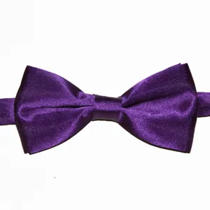 Primo piano dettagliato di un elegante cravattino papillon in tessuto doppio viola.