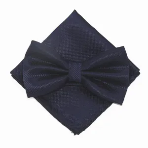 Klassieke donkerblauwe vlinderdas en pocquet set voor heren formele trouwkostuums.