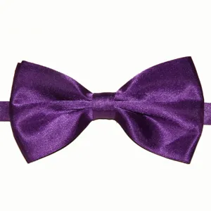 Détail de nœud papillon en satin violet brillant, texture de tissu lisse et boucle plastique.