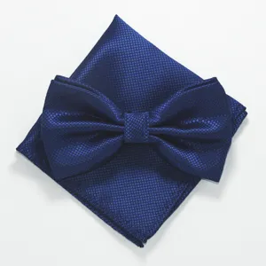 Detailopname van de elegante donkerblauwe gestructureerde vlinderdas en bijpassend pochet.