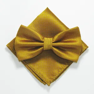 Gouden geruite vlinderdas en pochet set voor heren zaken en huwelijk formele gelegenheid.