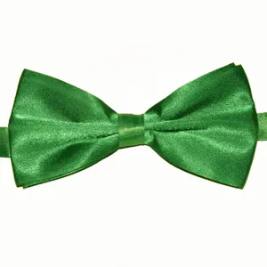 Noeud papillon vert en satin pour homme, accessoire de cou brillant en polyester