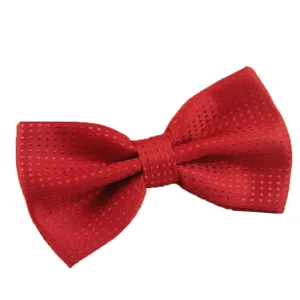 Rote gemusterte Fliege fuer Herren, klassisches Hochzeitsoutfit aus strapazierbarem Polyester.