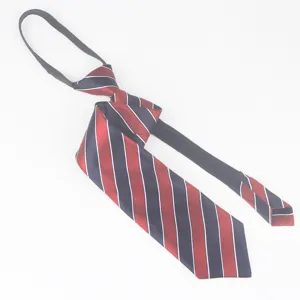 Vista dettagliata della cravatta a righe con zip, accessorio per divisa professionale.