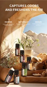 Water-soluble essential oil 6-piece set for humidifiers, diffusers, and air freshening.