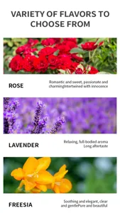 Water soluble aromatherapy essential oil set fragrance options detail display image