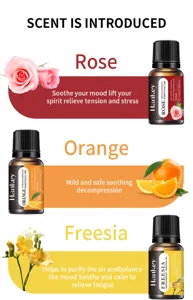 Aromatherapy essential oil set featuring rose, orange, and freesias scents for relaxation.