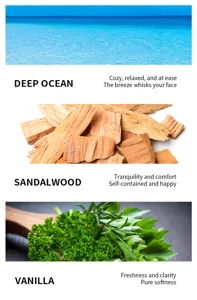 Aromatherapy essential oil scent details showing deep ocean, sandalwood, and vanilla notes.