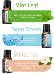 Hankey water-soluble essential oil set mint deep ocean white tea aromatherapy 10ml
