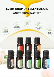 8pcs Aromatherapy Essential Oil Set Plant Fragrance Oil for Humidifier 10ml Bottles Gift Box