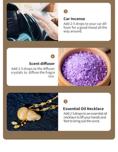 Essential oil usage guide graphic showing car diffuser, crystal stone and necklace sets.
