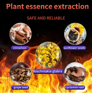 Natural plant essence extraction detail showing active ingredients for massage oil formulation.