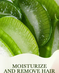 Immagine di dettaglio di aloe vera con ingredienti idratanti naturali per una depilazione.