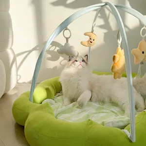 Süßes grünes Blumen-Haustierbett mit Hängeplüschspielzeug und Bogen für Katzen und Hunde.