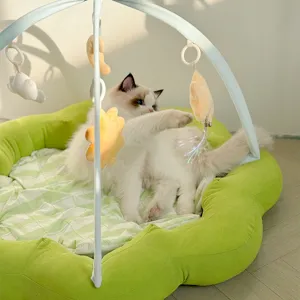 Gemütliches Blumen-Katzenbett mit Hängespielzeug und Bogen für verspielte Haustiere, Schlafmatte.