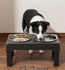 Elevated dog bowl with stainless steel double bowls and adjustable stand for pet feeding.